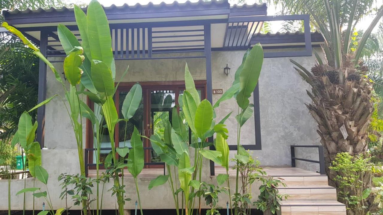 Palm Pran 3*